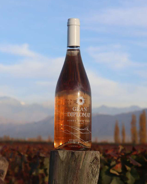 Gran Diplomat Rosé Provence 2023